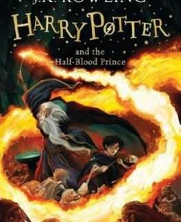 Harry Potter and the Half-Blood Prince 哈利波特与混血王子 单本