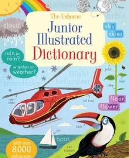 Junior Illustrated English Dictionary 小学英文字典